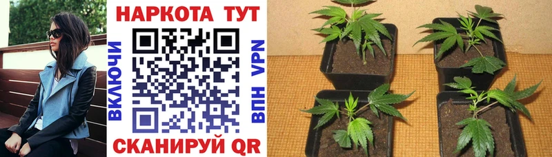 Где купить наркоту Кизляр APVP  АМФЕТАМИН  МАРИХУАНА 