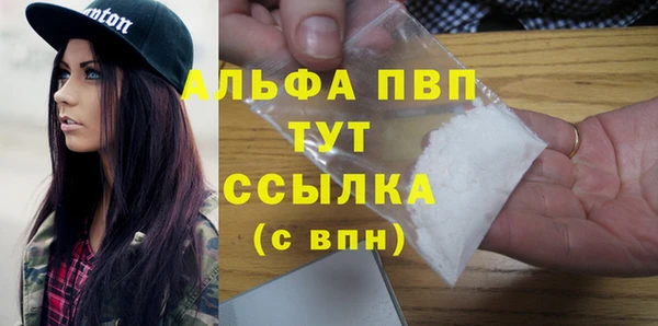 шишки Белоозёрский