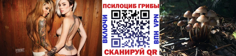 Псилоцибиновые грибы GOLDEN TEACHER  Кизляр 
