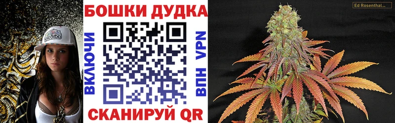 MEGA ССЫЛКА  Кизляр  Бошки марихуана SATIVA & INDICA 